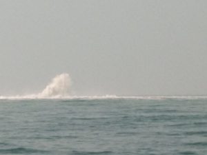 Pipa Gas Bocor di Perairan Pulau Panjang, UPP Bojonegara Masih Tunggu Informasi_Foto Bantenhariini_arp.BHI