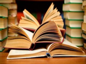 foto Tribun Bali - Tribunnews.com